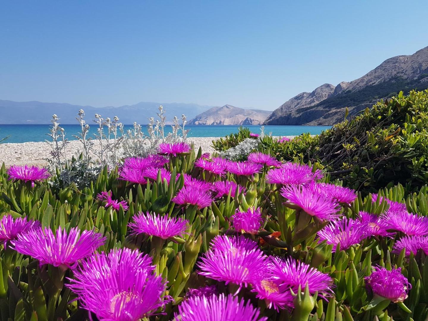 Apartments Barbalic D Baška Kültér fotó
